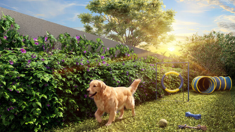 Pet Place